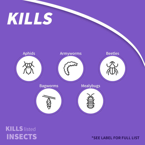 Diagram showing insects killed by Eight Insect Control For Vegetables Fruits And Flowers 32 Oz Concentrate, including aphids and beetles.