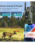Solar security cam detects animal and people, showing deer and phone alerts for activity monitoring, ideal for off-grid use.