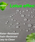 Close-up of water droplets demonstrating water-resistant feature on wood floor, Top Shelf Wood Floor Restorer And High Gloss Polish For Fresh Slick Shine That Buffs Out Tiny Scratches While Locking Boards With A Tough Non Slip Shield That Keeps Out Everyday Dust And Water Spots On Hardwood And Laminate.