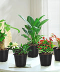 120 Pack 4 Inch Plastic Nursery Pots With Drainage Holes For Seedlings And Succulents, Lightweight Durable Plant Pots For Transplants