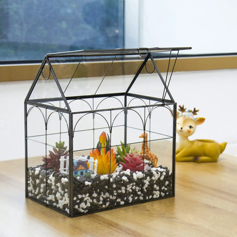 Large Tall Glass Terrarium With Lid For Indoor Plants Dope Desktop Greenhouse Enclosure For Orchids Succulents And Cacti Tall Tabletop Display In Black Frame 8.7 By 5.9 By 10.6 Inches Easy Lift Lid
