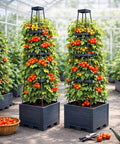 2 Pack Raised Garden Bed Tomato Planter With Trellis 57 Inch Self-Watering Cage Planter Boxes For Climbing Plants Veggie Vines Flowers