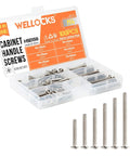 M4 Cabinet Screws Assortment Kit 25 To 50 Mm 100 Pcs pan washer head Phillips screws in open case with visible slots