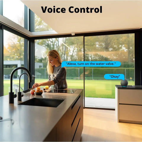 Woman using Alexa for Zigbee Sprinkler Timer With Gateway Required, Smart Irrigation Controller With Alexa And Google Home Voice Control