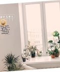 Heavy Duty Adhesive Hook Set That Stays Rock Solid No Sweat Install For Hanging Towels Coats Bags Keys Total Entryway Essential, mounted above a window with a plant-filled sill.