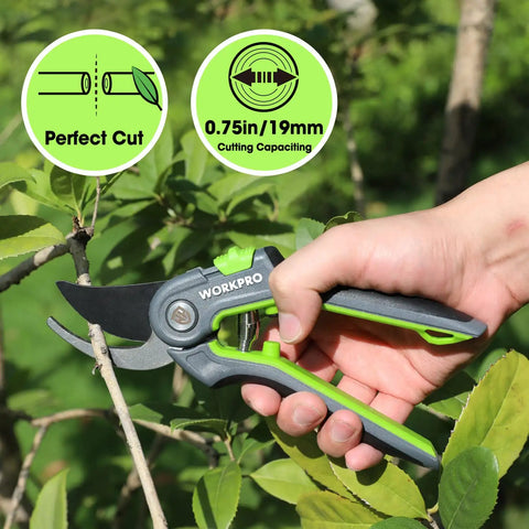 Person using 8 Inch Bypass Pruning Shears With Sharp SK5 Steel Blades For Smooth Pro Grade Cuts, Rust Resistant Garden Pruner