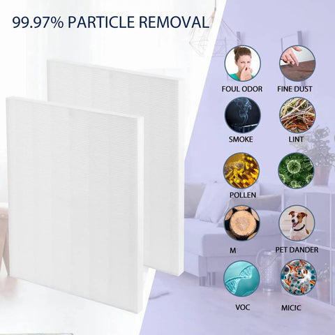 Replacement Filter For Winix D480 Air Cleaner Purifier True HEPA D4 Compatible Part 1712-0100-00 2 Pack with odor control