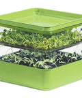 Two Tier Seed Sprouter Kit With Lid For Indoor Germination And Microgreens Grow Trays Stackable Seedling Starter Trays Propagator