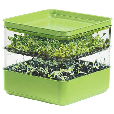 Two Tier Seed Sprouter Kit With Lid For Indoor Germination And Microgreens Grow Trays Stackable Seedling Starter Trays Propagator