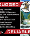 Vertical 2800 PSI Pressure Washer Pump Replacement For Blackmax BM80913 BM8913A PS28411 specifications chart