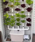 Vertical garden setup using LESSO 30 Pcs 1/2 Inch PVC Fittings Set for DIY projects with visible green and red leafy plants.