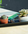 Plants on Six Pack Rectangular Plant Tray Saucers For Indoors Heavy Duty Drainage Drip Trays For Flower Pots Windowsill Planters Fits Pots Up To 10 Inches Inner 9.7 X 4.7 Inches Outer 6 X 11 Inches 1.1 Inch High