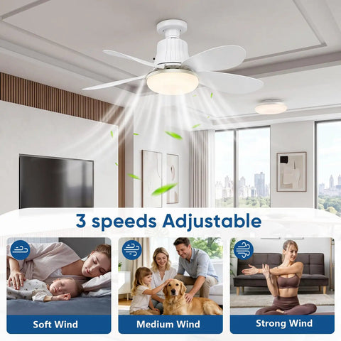XIGUCUCN Socket Fan Light with Remote in living room, showing 3 adjustable speeds and dimmable light feature.