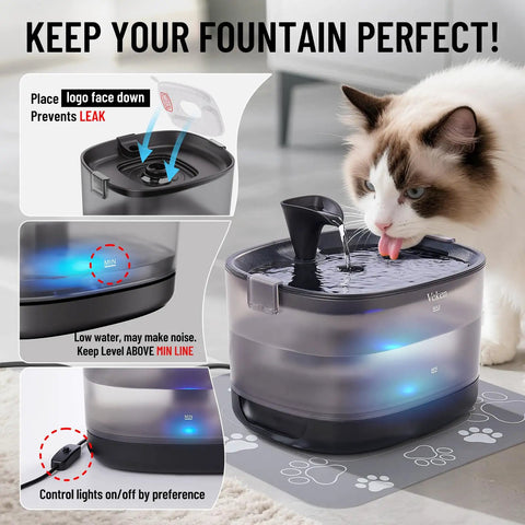 Cat drinking from Cat Water Fountain With Detachable Tank And Secure Clips Easy Clean And Easy Assembly 85Oz Capacity Pet Drinking Dispenser With Quiet Operation And LED Light Ideal Gift For Cats Dogs And Small Pets Black