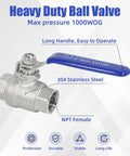 2 Pack One Half Inch Stainless Steel Ball Valve 304 Full Port NPT Female Beefy Heavy Duty Shut Off Valves With Blue Locking Handles For Water Oil And Gas 1000 WOG
