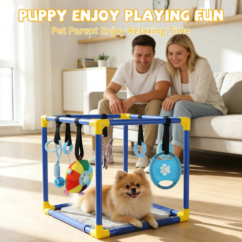 Indoor Puppy Play Gym With Hanging Toys And 8 Enrichment Toys For Small Dogs Cats And Other Pets PVC Frame Activity Center