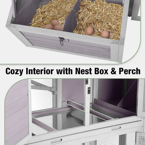 Interior view of large backyard chicken and duck coop with run for 8 to 10 birds wooden hen house 75.7 inch tall featuring nesting box and perch.