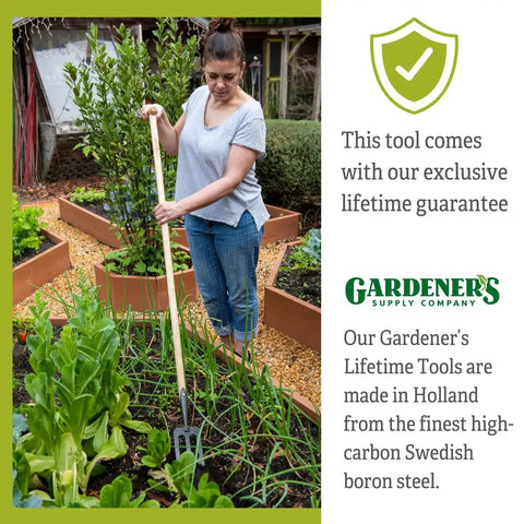 Person using Lifetime Garden Spork From Gardeners Supply Co Hand Forged In Holland With High Carbon Swedish Boron Steel