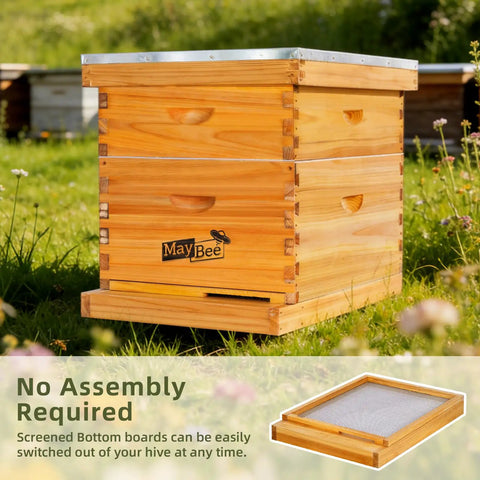 8 Frame Screened Bottom Board For Langstroth Beehives with beeswax dipped solid wood base and ventilation in garden setting.