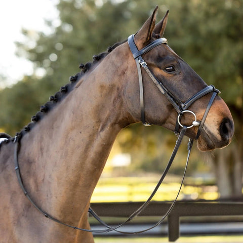 Padded Dressage Bridle With Reins And Removable Flash In Black For Warmbloods All Day Comfort Single Crown Padded Cavesson And Browband