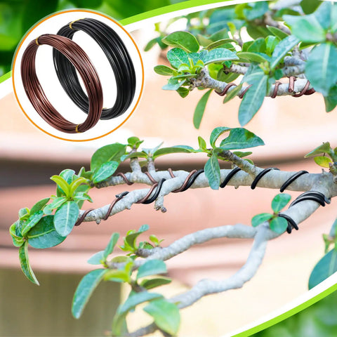 Five Roll Aluminum Bonsai Wiring Kit With Cutter, 1mm 1.5mm 2.0mm Wires, 32 Ft Per Roll, 160 Ft Total, Anodized Black Green Brown Color Set