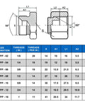 Technical drawing and specification table for 56 Piece BSPP Hydraulic Hose Caps And Plugs Kit For Sizes 2 4 6 8 10 12 16