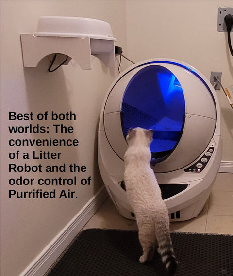 Cat approaching automated litter box with Litter Box Air Purifier for Cats and Small Pets with 53 CFM Stink Busting Power nearby.