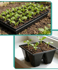 40 Pack Reusable 4 Cell Seed Starter Trays For Seedlings With Drainage Holes Deep Cells For Fast Germination, on window and soil