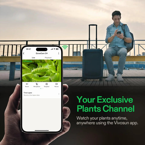 2K QHD Smart Grow Camera for Indoor Tents and Grow Boxes in Vivosun app display with man controlling remotely on smartphone