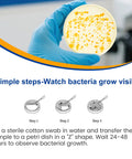 Drinking Water Bacteria Test Kit With 12 Tests Detecting Coliform And E Coli Plus All Bacteria showing bacteria growth in petri dish.
