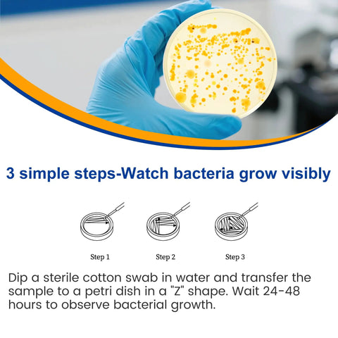 Drinking Water Bacteria Test Kit With 12 Tests Detecting Coliform And E Coli Plus All Bacteria showing bacteria growth in petri dish.