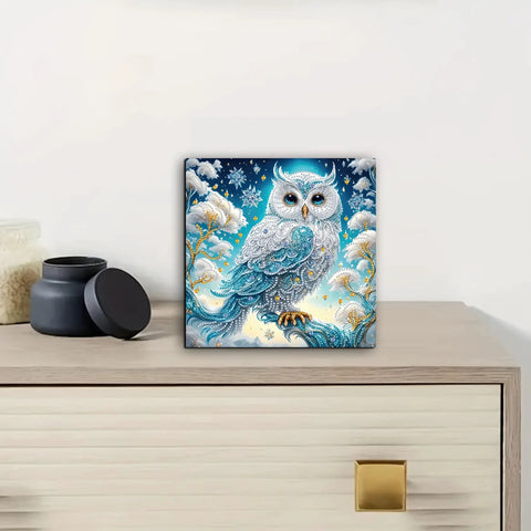 Beginner Friendly 5D Partial Diamond Painting Kit Owl Design With Special Shaped Crystals on a wooden table