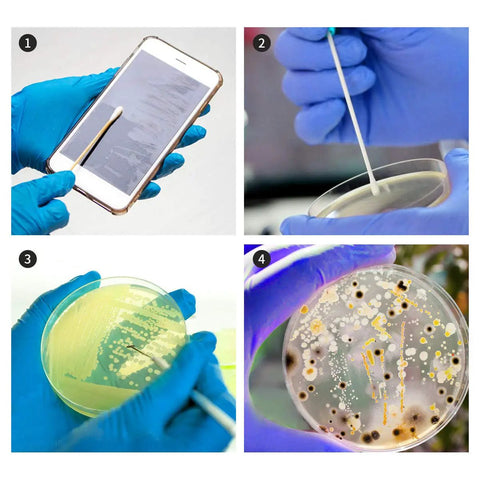 Science Kit For Kids With Ready To Use Bacteria Petri Dishes LB Agar And Cotton Swabs Safe STEM Project For Science Fair