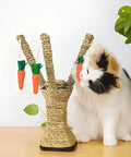 Cat playing with Natural Sisal Rope One Quarter Inch Thick 328 Feet 100 Meters Heavy Duty Twine for Cat Scratcher Posts