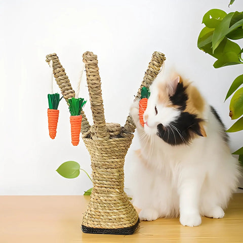 Cat playing with Natural Sisal Rope One Quarter Inch Thick 328 Feet 100 Meters Heavy Duty Twine for Cat Scratcher Posts