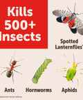 Image showing insects killed by RTS Insect Killer Hose End Sprayer 32 Ounce, including lanternflies, ants, hornworms, and aphids.