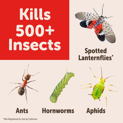 Image showing insects killed by RTS Insect Killer Hose End Sprayer 32 Ounce, including lanternflies, ants, hornworms, and aphids.