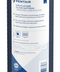 CFB-Plus10BB Big Blue Carbon Water Filter for 10-Inch Whole House, Fibredyne Modified Molded Carbon Block Replacement Cartridge