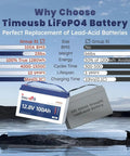 12V 100Ah LiFePO4 Battery With Built In 100A BMS Group 31 Compatible image showing size and features