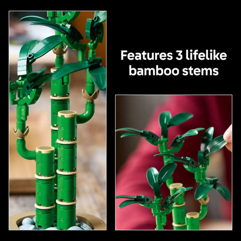 Buildable Lucky Bamboo Plant Kit For Adults Realistic Artificial Desk And Office Decor Mindful Diy Project Tabletop Plant Decoration For Home And Workspace Great Gift For Birthdays For Him And Her, 3 bamboo stems