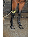 Horse legs with yellow coils using Leg Soaker For Horses With Hands Free Water Flow And Cooling Soak Self Releasing Coils Efficient