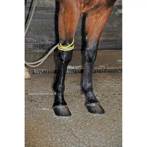 Horse legs with yellow coils using Leg Soaker For Horses With Hands Free Water Flow And Cooling Soak Self Releasing Coils Efficient