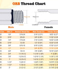 ORB Thread Chart detailing male and female sizes with measurements for hydraulic hose connections.