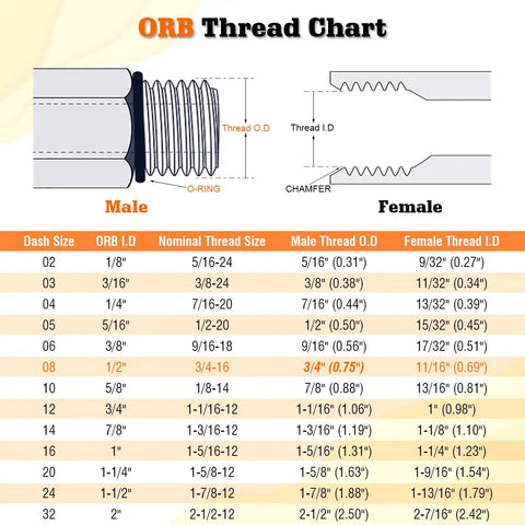ORB Thread Chart detailing male and female sizes with measurements for hydraulic hose connections.