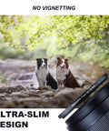 77mm UV Protection Filter For Camera Lens ultra slim HD optical glass with no vignetting effect, two dogs in nature