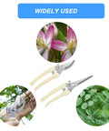 Two Piece Professional Pruning Shears Set with Bypass Pruner and Straight Blade Garden Scissors for Quick Trimming Flowers Shaping Plants Bonsai Hydroponics and Herbs Premium Garden Tools