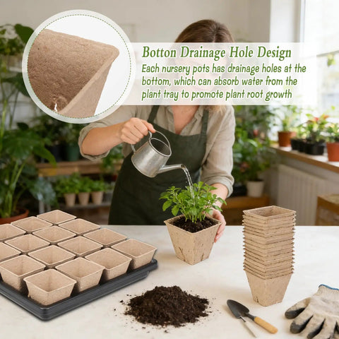 Person watering plant with Seed Starter Kit With 100 Square Nursery Pots With Drain Holes 6 Plastic Plant Trays visible