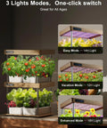 Dope Two Tier Indoor Hydroponic Garden With Full Spectrum LED Grow Lights 32 Pods Solid Wood Frame And Independent Water Circulation