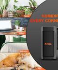 3 In 1 Plant Humidifier With Humidity Meter And 12 Hour Timer, 4L Ultrasonic Cool Mist Humidifier in various settings