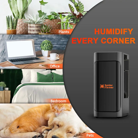 3 In 1 Plant Humidifier With Humidity Meter And 12 Hour Timer, 4L Ultrasonic Cool Mist Humidifier in various settings